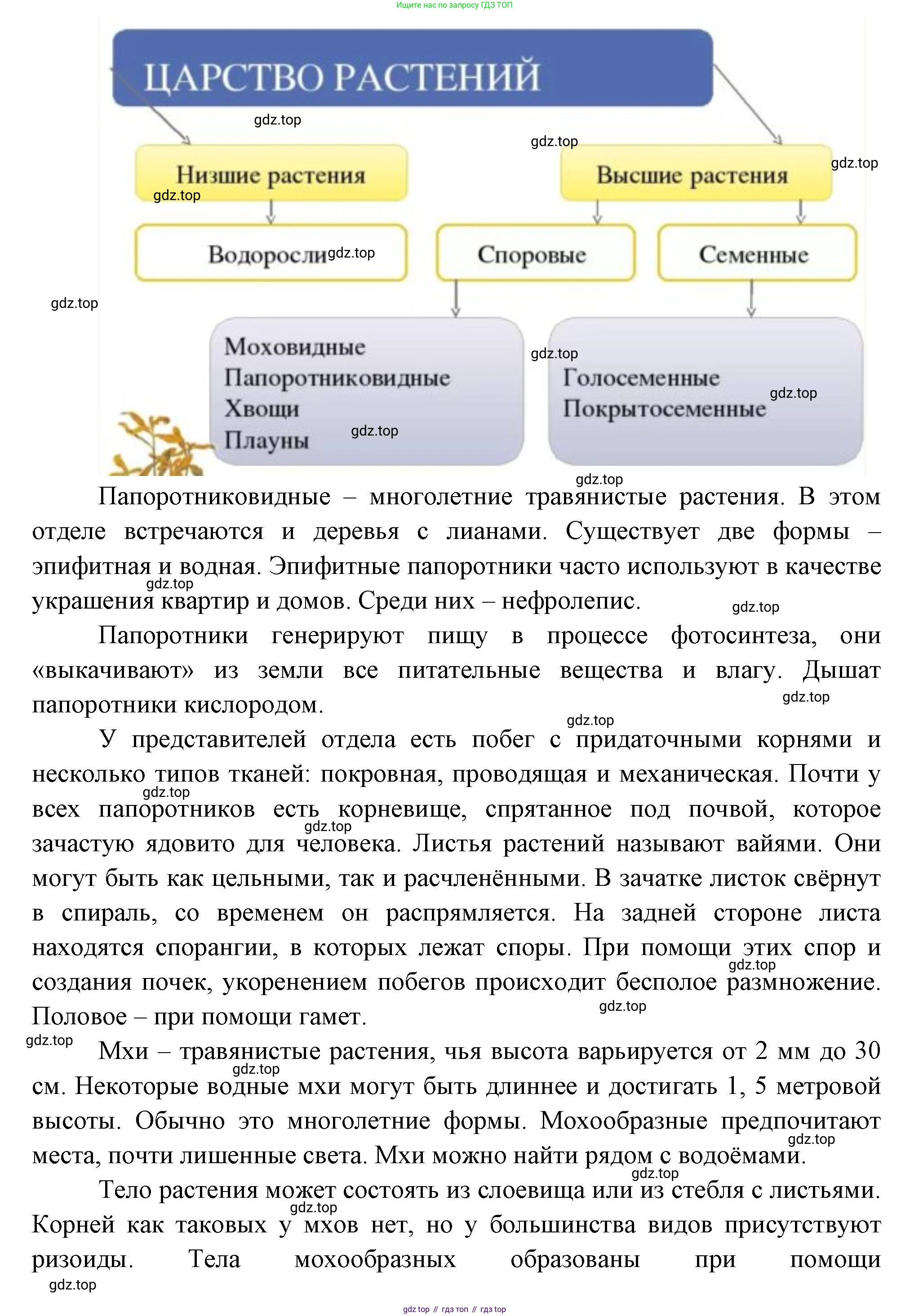Биология, 6 класс Учебник, авторы: Пономарева Ирма Николаевна, Корнилова Ольга Анатольевна, издательство Просвещение, Москва, 2023, бирюзового цвета, страница 26, номер 6, Решение (продолжение 2)