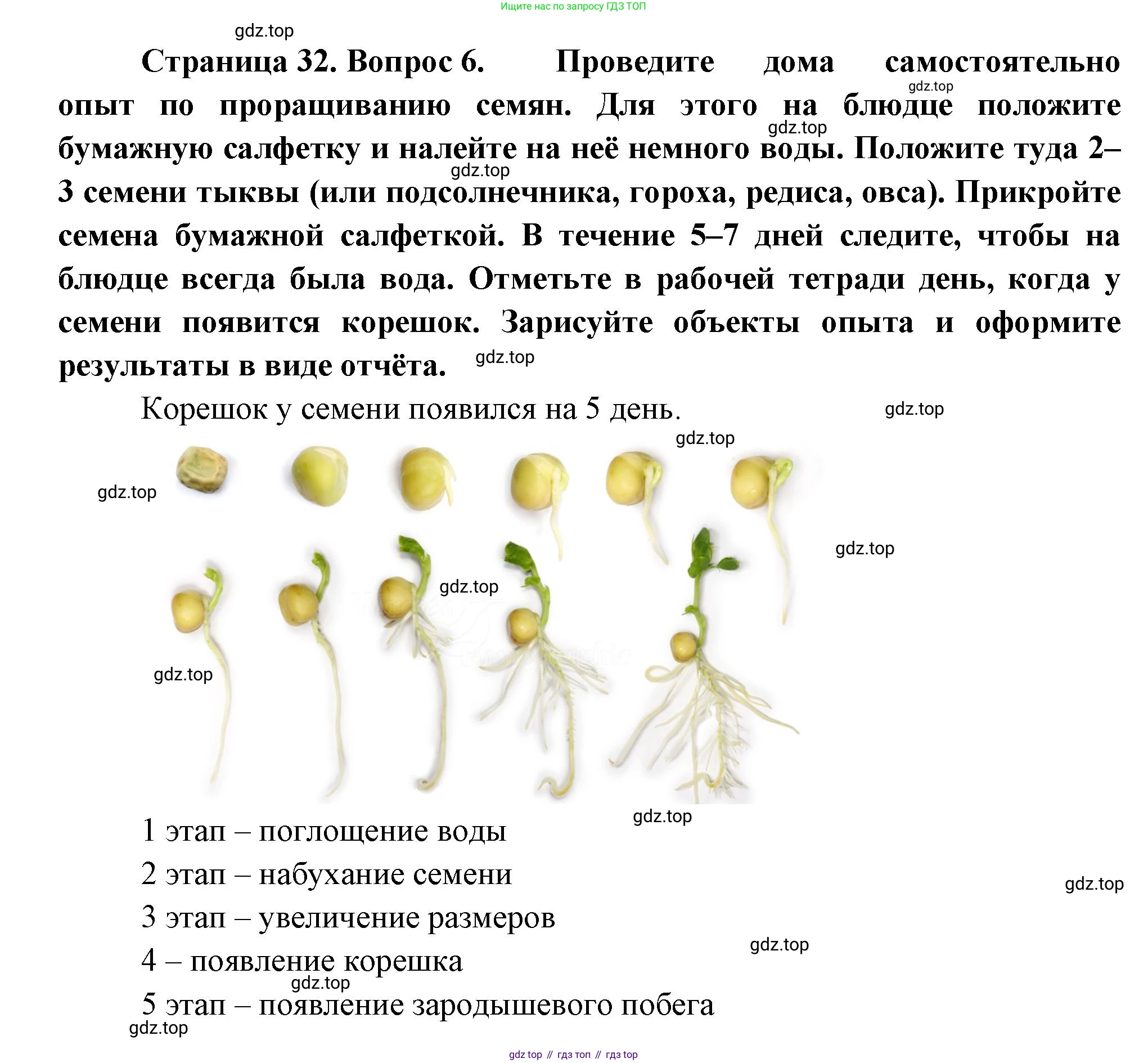 Биология, 6 класс Учебник, авторы: Пономарева Ирма Николаевна, Корнилова Ольга Анатольевна, издательство Просвещение, Москва, 2023, бирюзового цвета, страница 32, номер 6, Решение