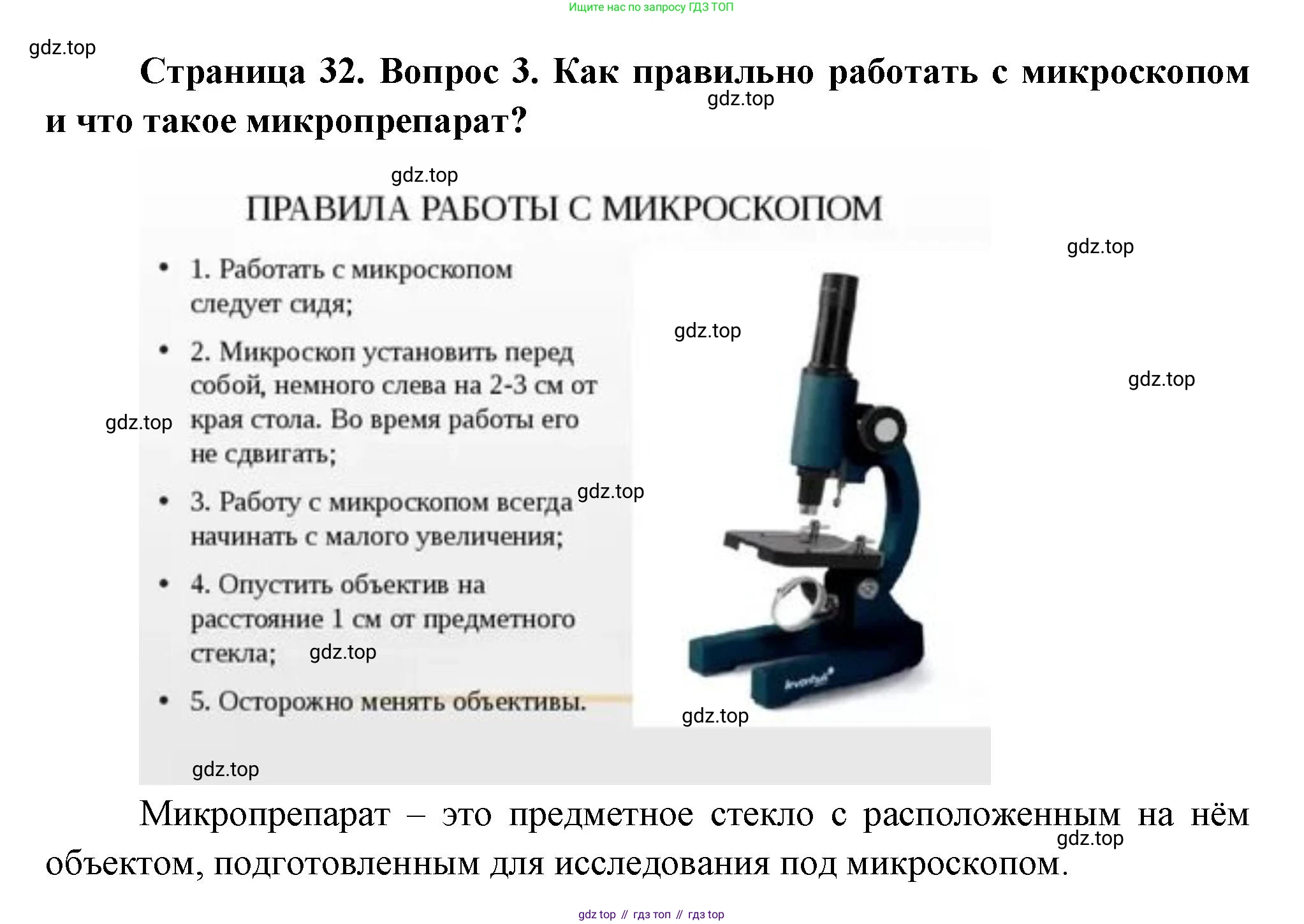 Биология, 6 класс Учебник, авторы: Пономарева Ирма Николаевна, Корнилова Ольга Анатольевна, издательство Просвещение, Москва, 2023, бирюзового цвета, страница 32, номер 3, Решение