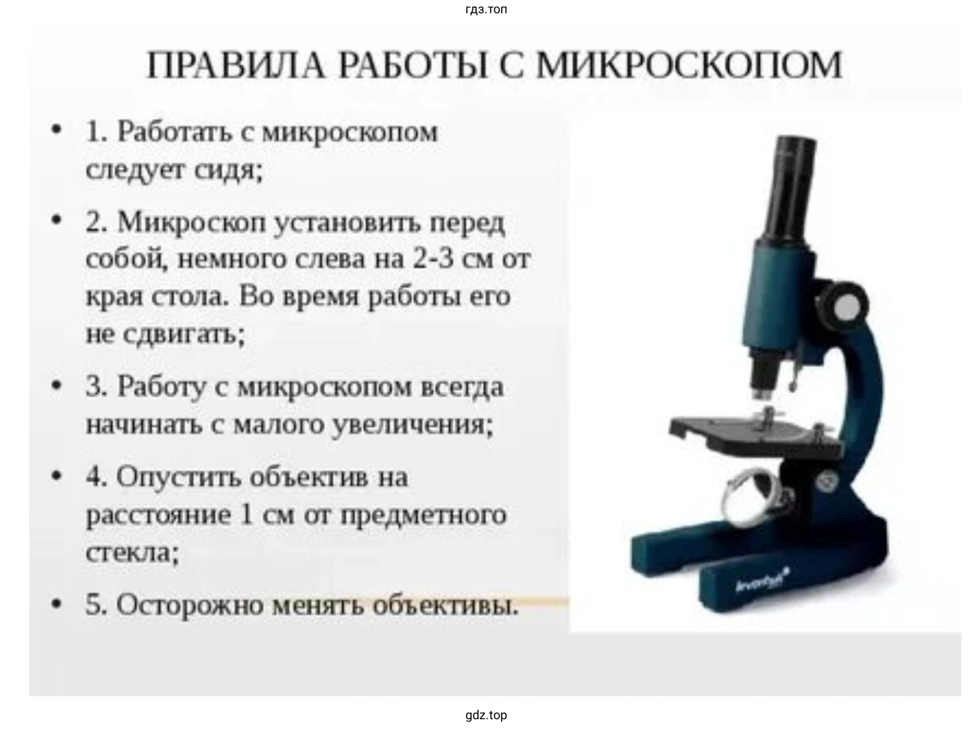 Как правильно работать с микроскопом и что такое микропрепарат?