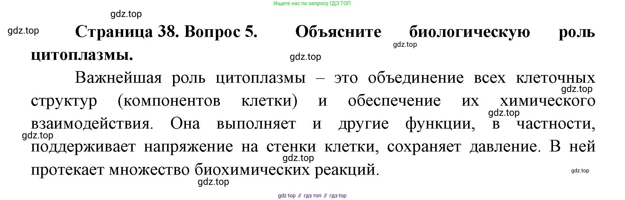 Биология, 6 класс Учебник, авторы: Пономарева Ирма Николаевна, Корнилова Ольга Анатольевна, издательство Просвещение, Москва, 2023, бирюзового цвета, страница 38, номер 5, Решение