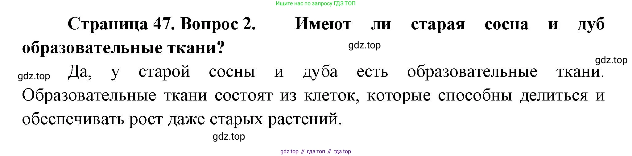 Биология, 6 класс Учебник, авторы: Пономарева Ирма Николаевна, Корнилова Ольга Анатольевна, издательство Просвещение, Москва, 2023, бирюзового цвета, страница 47, номер 2, Решение