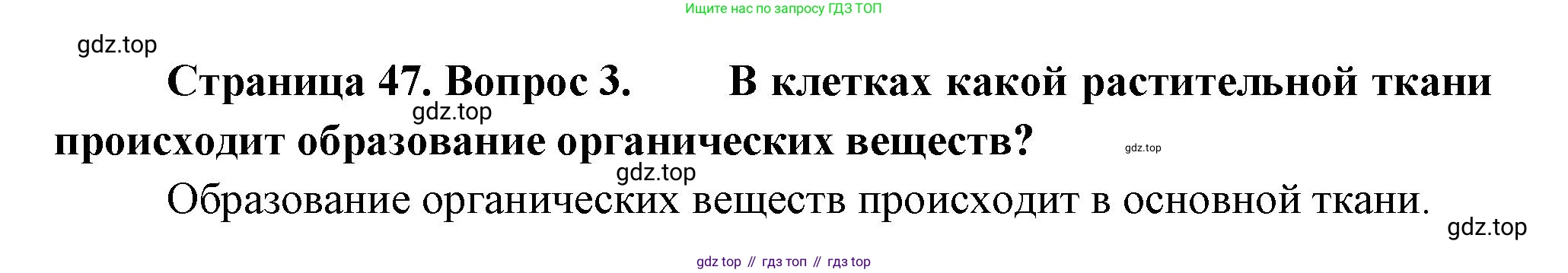 Биология, 6 класс Учебник, авторы: Пономарева Ирма Николаевна, Корнилова Ольга Анатольевна, издательство Просвещение, Москва, 2023, бирюзового цвета, страница 47, номер 3, Решение
