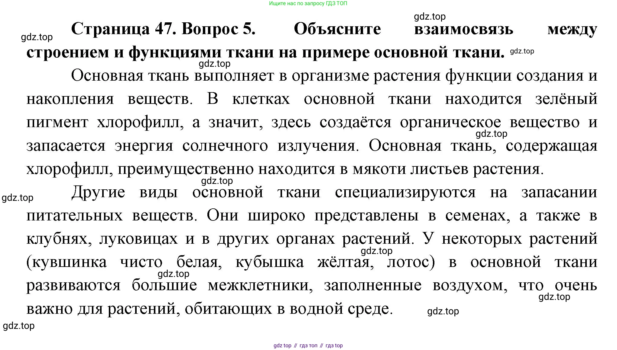 Биология, 6 класс Учебник, авторы: Пономарева Ирма Николаевна, Корнилова Ольга Анатольевна, издательство Просвещение, Москва, 2023, бирюзового цвета, страница 47, номер 5, Решение
