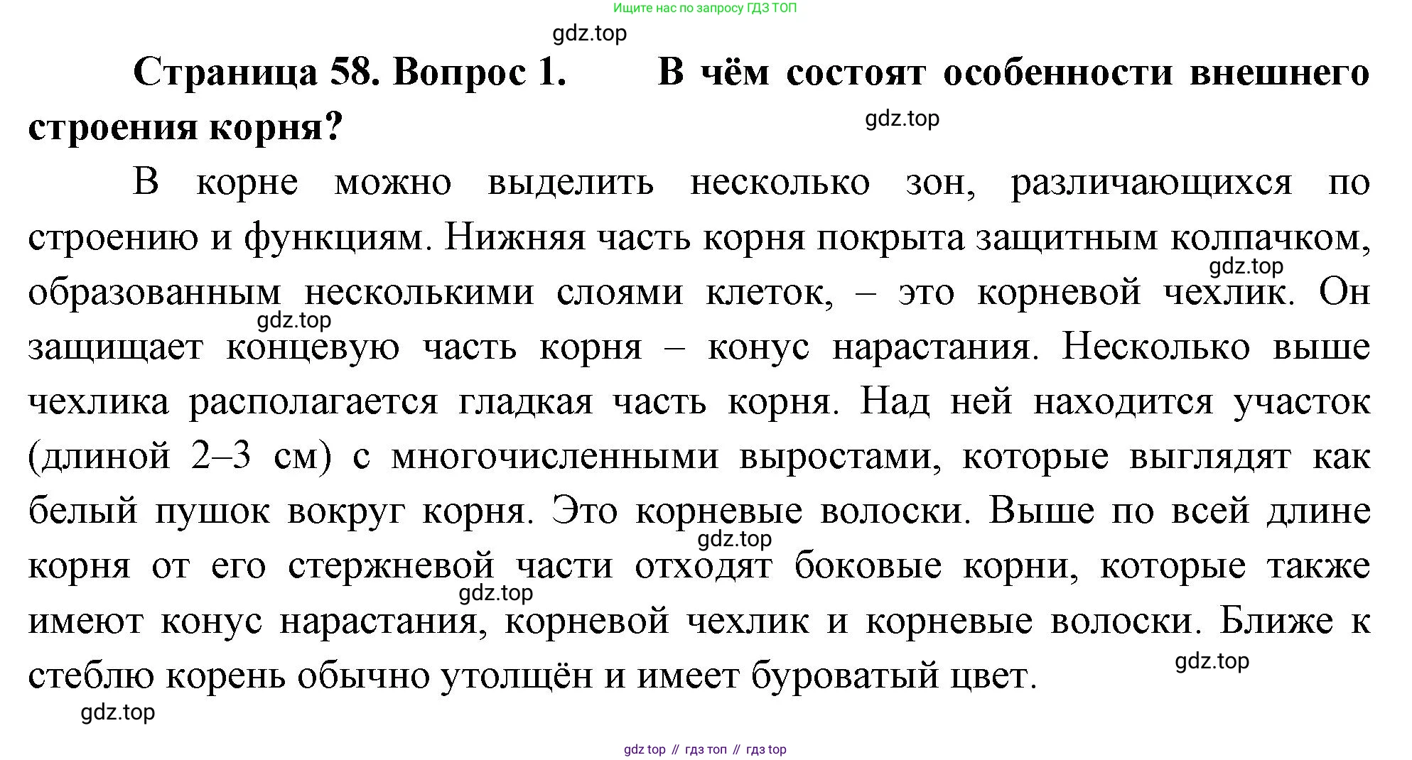 Биология, 6 класс Учебник, авторы: Пономарева Ирма Николаевна, Корнилова Ольга Анатольевна, издательство Просвещение, Москва, 2023, бирюзового цвета, страница 58, номер 1, Решение