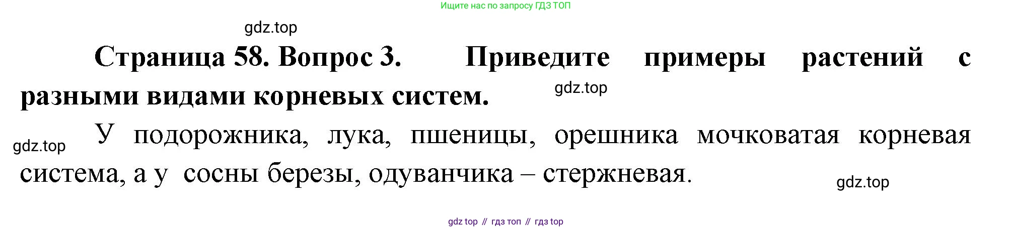 Биология, 6 класс Учебник, авторы: Пономарева Ирма Николаевна, Корнилова Ольга Анатольевна, издательство Просвещение, Москва, 2023, бирюзового цвета, страница 58, номер 3, Решение