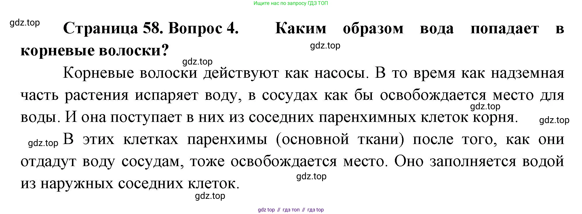 Биология, 6 класс Учебник, авторы: Пономарева Ирма Николаевна, Корнилова Ольга Анатольевна, издательство Просвещение, Москва, 2023, бирюзового цвета, страница 58, номер 4, Решение
