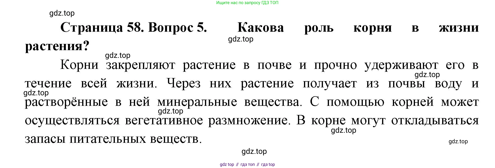 Биология, 6 класс Учебник, авторы: Пономарева Ирма Николаевна, Корнилова Ольга Анатольевна, издательство Просвещение, Москва, 2023, бирюзового цвета, страница 58, номер 5, Решение