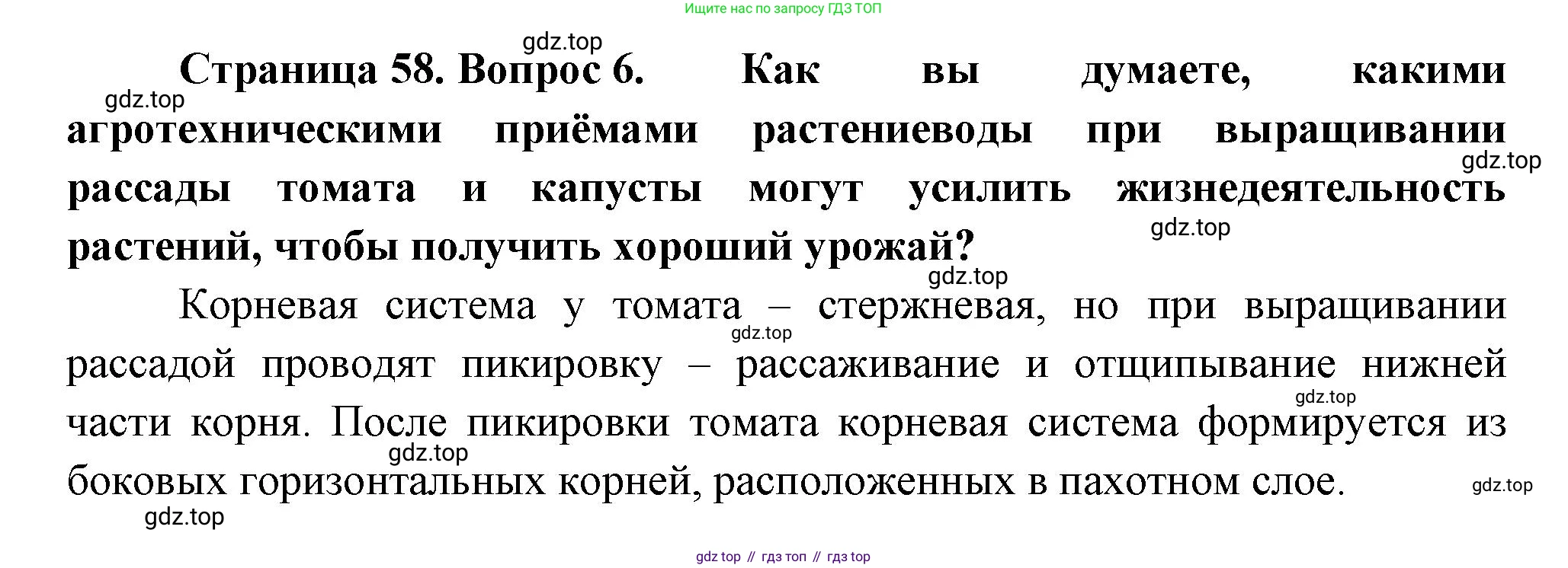 Биология, 6 класс Учебник, авторы: Пономарева Ирма Николаевна, Корнилова Ольга Анатольевна, издательство Просвещение, Москва, 2023, бирюзового цвета, страница 58, номер 6, Решение