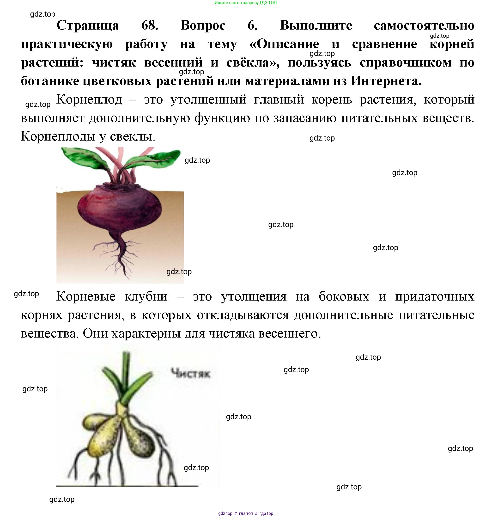 Биология, 6 класс Учебник, авторы: Пономарева Ирма Николаевна, Корнилова Ольга Анатольевна, издательство Просвещение, Москва, 2023, бирюзового цвета, страница 68, номер 6, Решение