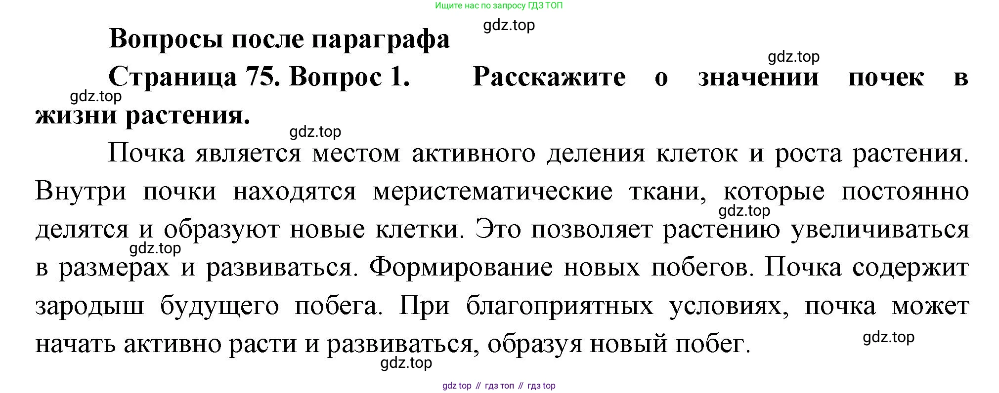 Биология, 6 класс Учебник, авторы: Пономарева Ирма Николаевна, Корнилова Ольга Анатольевна, издательство Просвещение, Москва, 2023, бирюзового цвета, страница 75, номер 1, Решение