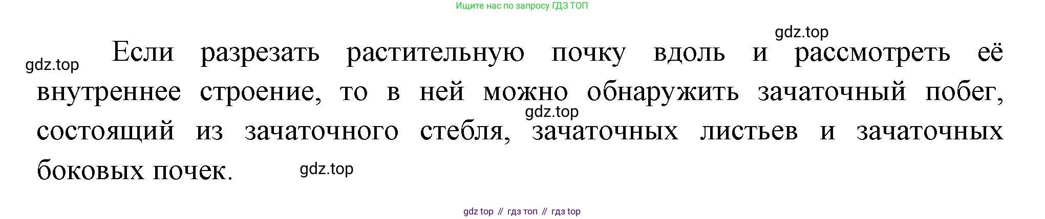 Биология, 6 класс Учебник, авторы: Пономарева Ирма Николаевна, Корнилова Ольга Анатольевна, издательство Просвещение, Москва, 2023, бирюзового цвета, страница 75, номер 2, Решение (продолжение 2)