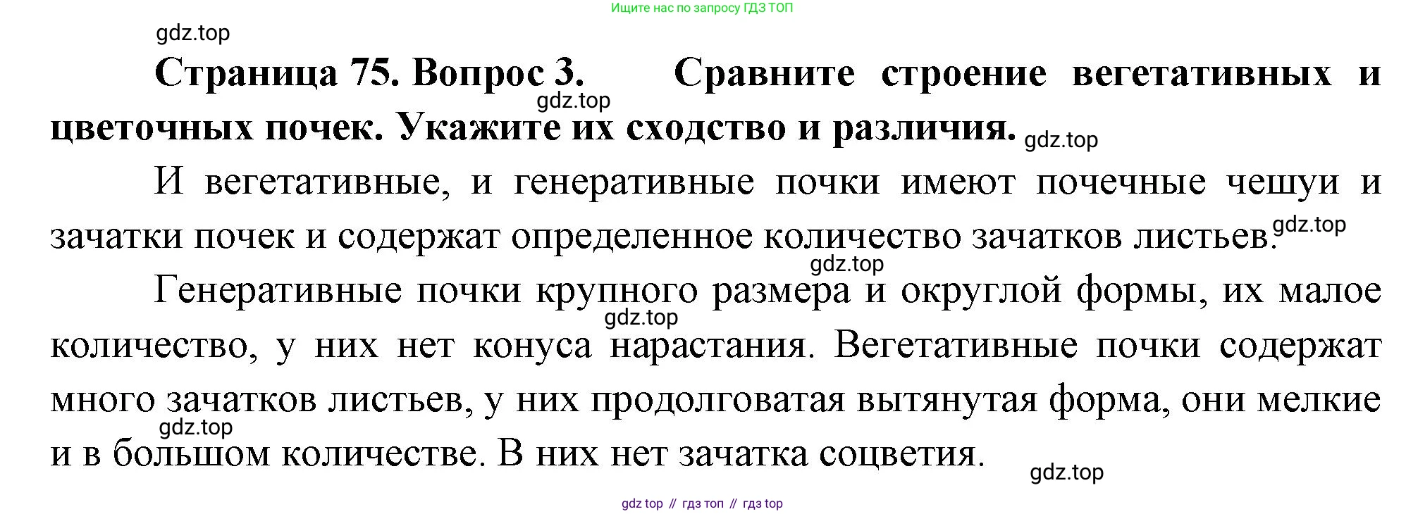 Биология, 6 класс Учебник, авторы: Пономарева Ирма Николаевна, Корнилова Ольга Анатольевна, издательство Просвещение, Москва, 2023, бирюзового цвета, страница 75, номер 3, Решение