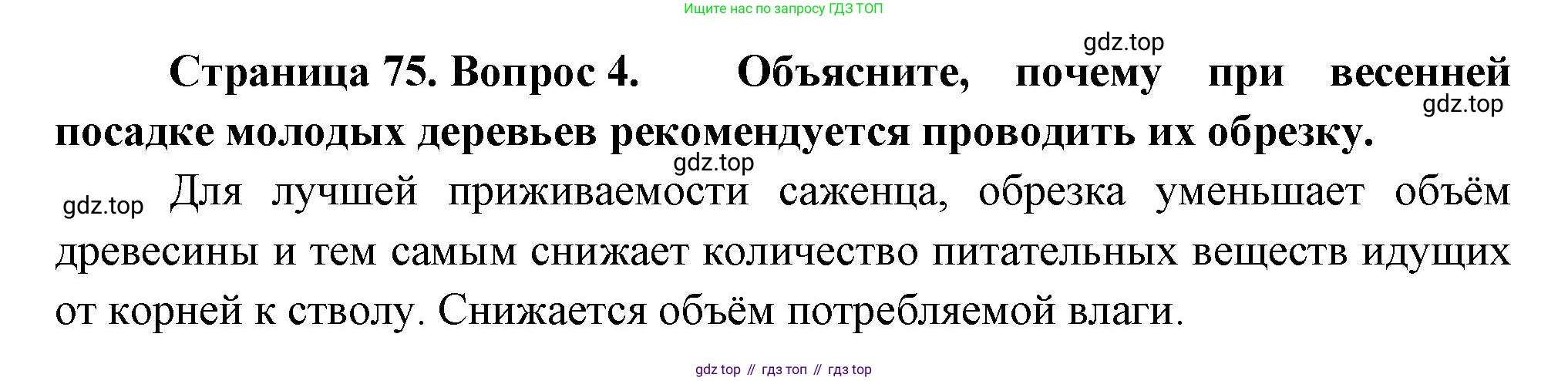 Биология, 6 класс Учебник, авторы: Пономарева Ирма Николаевна, Корнилова Ольга Анатольевна, издательство Просвещение, Москва, 2023, бирюзового цвета, страница 75, номер 4, Решение