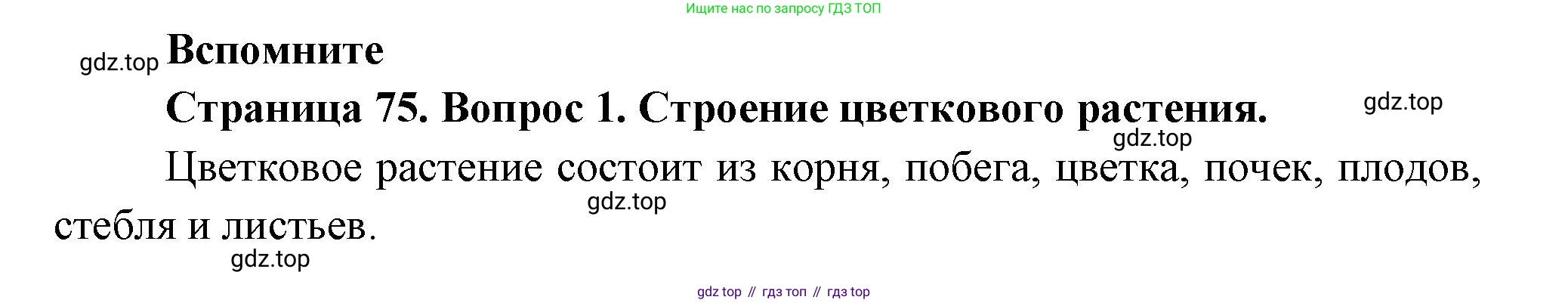 Биология, 6 класс Учебник, авторы: Пономарева Ирма Николаевна, Корнилова Ольга Анатольевна, издательство Просвещение, Москва, 2023, бирюзового цвета, страница 75, номер 1, Решение