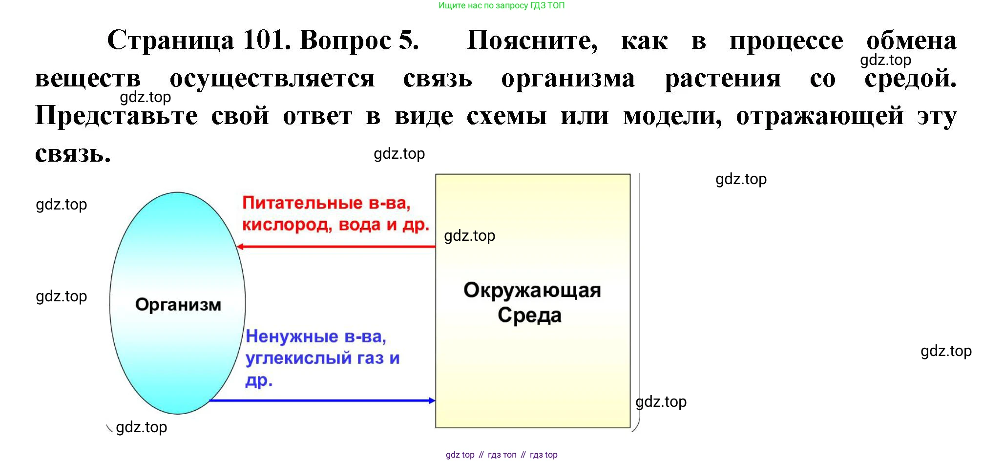 Биология, 6 класс Учебник, авторы: Пономарева Ирма Николаевна, Корнилова Ольга Анатольевна, издательство Просвещение, Москва, 2023, бирюзового цвета, страница 101, номер 5, Решение