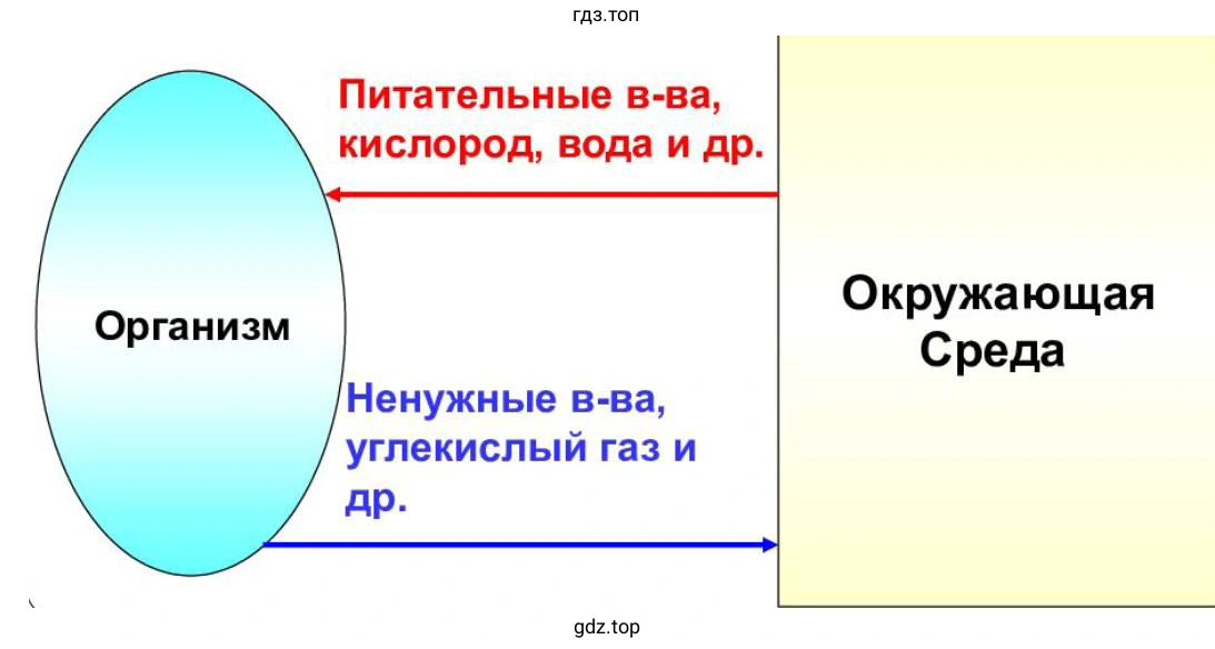 как в процессе обмена веществ осуществляется связь организма растения со средой