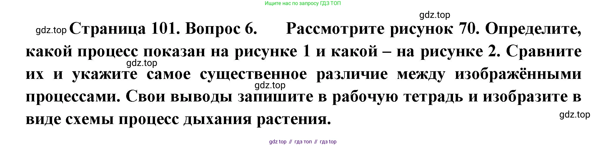 Биология, 6 класс Учебник, авторы: Пономарева Ирма Николаевна, Корнилова Ольга Анатольевна, издательство Просвещение, Москва, 2023, бирюзового цвета, страница 101, номер 6, Решение