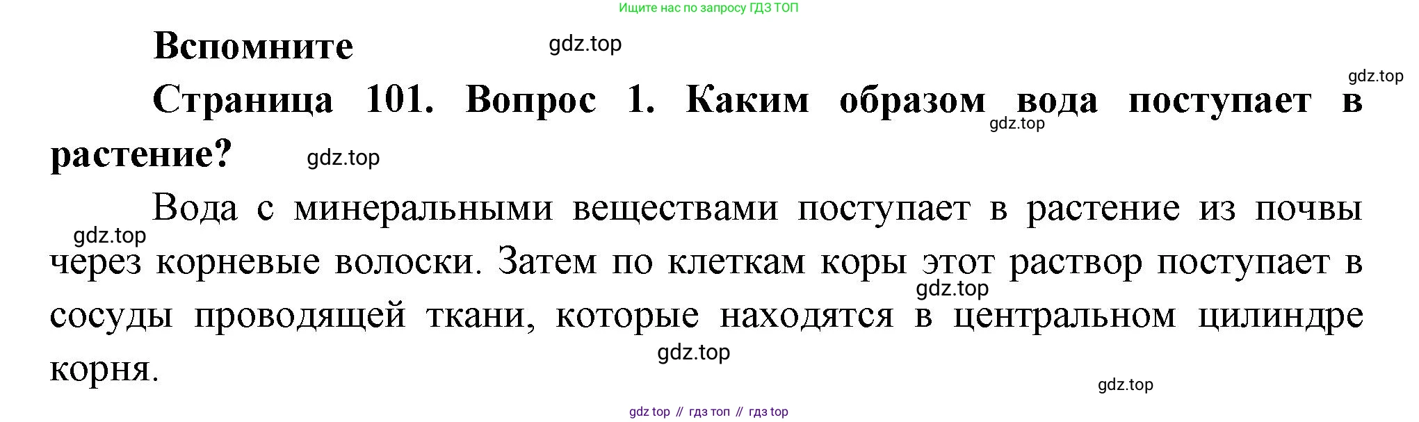 Биология, 6 класс Учебник, авторы: Пономарева Ирма Николаевна, Корнилова Ольга Анатольевна, издательство Просвещение, Москва, 2023, бирюзового цвета, страница 101, номер 1, Решение