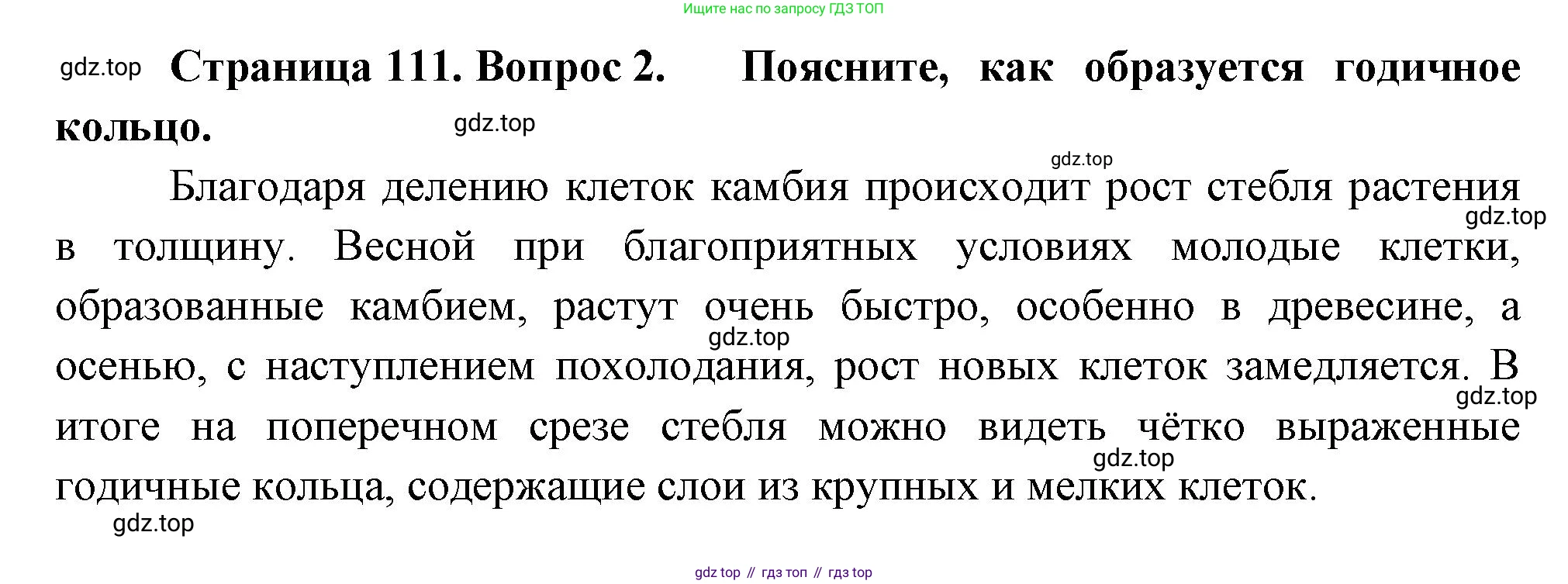 Биология, 6 класс Учебник, авторы: Пономарева Ирма Николаевна, Корнилова Ольга Анатольевна, издательство Просвещение, Москва, 2023, бирюзового цвета, страница 111, номер 2, Решение