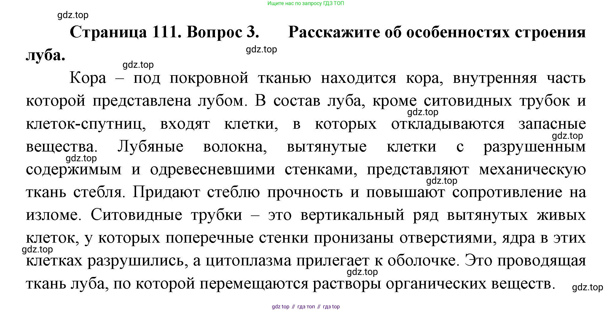 Биология, 6 класс Учебник, авторы: Пономарева Ирма Николаевна, Корнилова Ольга Анатольевна, издательство Просвещение, Москва, 2023, бирюзового цвета, страница 111, номер 3, Решение