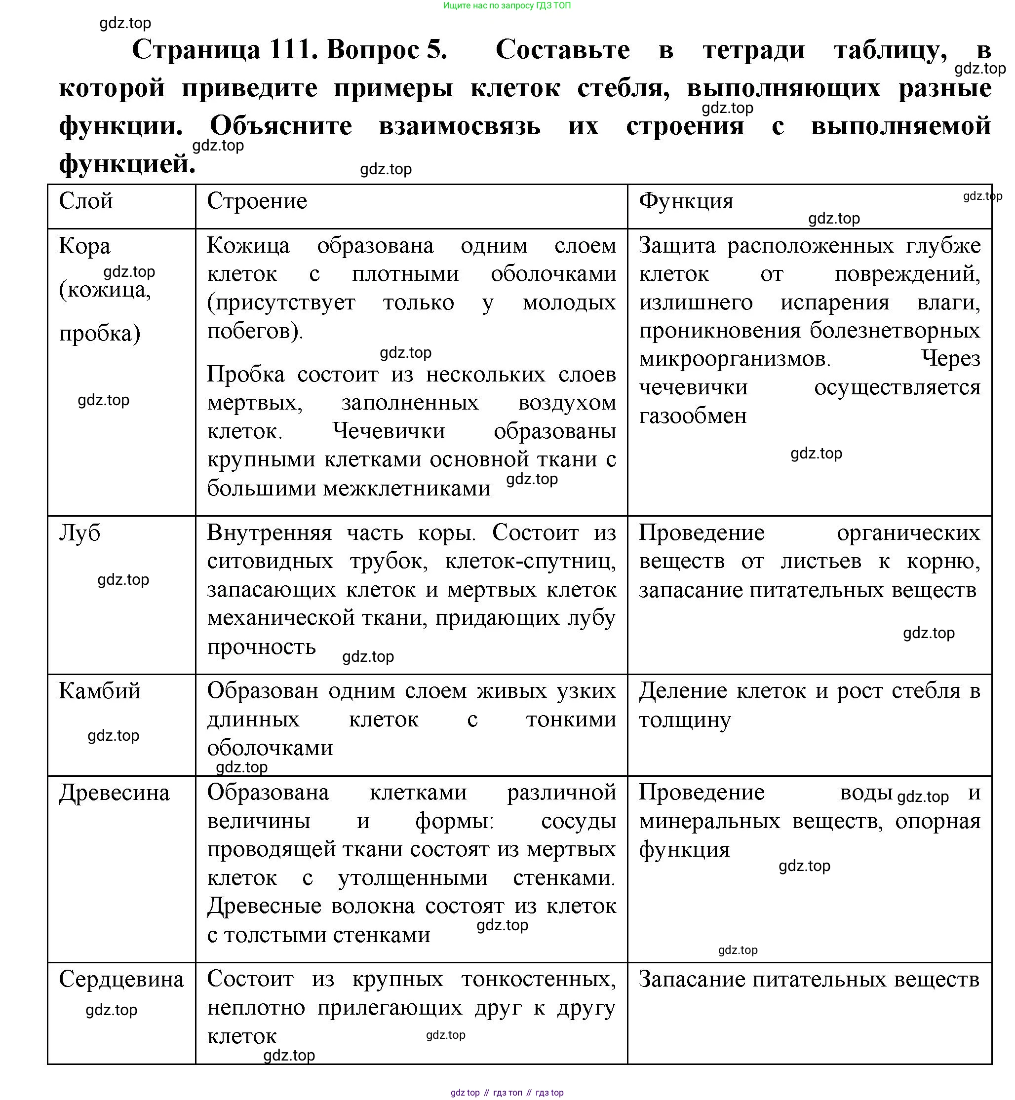 Биология, 6 класс Учебник, авторы: Пономарева Ирма Николаевна, Корнилова Ольга Анатольевна, издательство Просвещение, Москва, 2023, бирюзового цвета, страница 111, номер 5, Решение