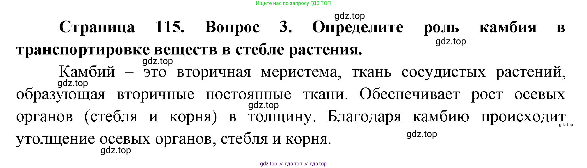 Биология, 6 класс Учебник, авторы: Пономарева Ирма Николаевна, Корнилова Ольга Анатольевна, издательство Просвещение, Москва, 2023, бирюзового цвета, страница 115, номер 3, Решение