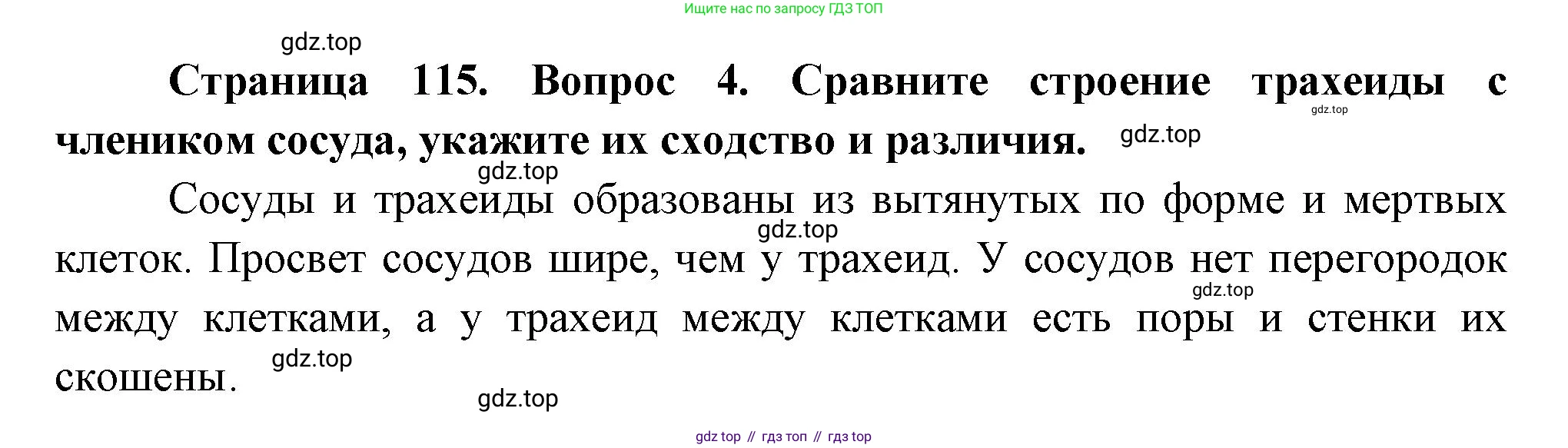 Биология, 6 класс Учебник, авторы: Пономарева Ирма Николаевна, Корнилова Ольга Анатольевна, издательство Просвещение, Москва, 2023, бирюзового цвета, страница 115, номер 4, Решение