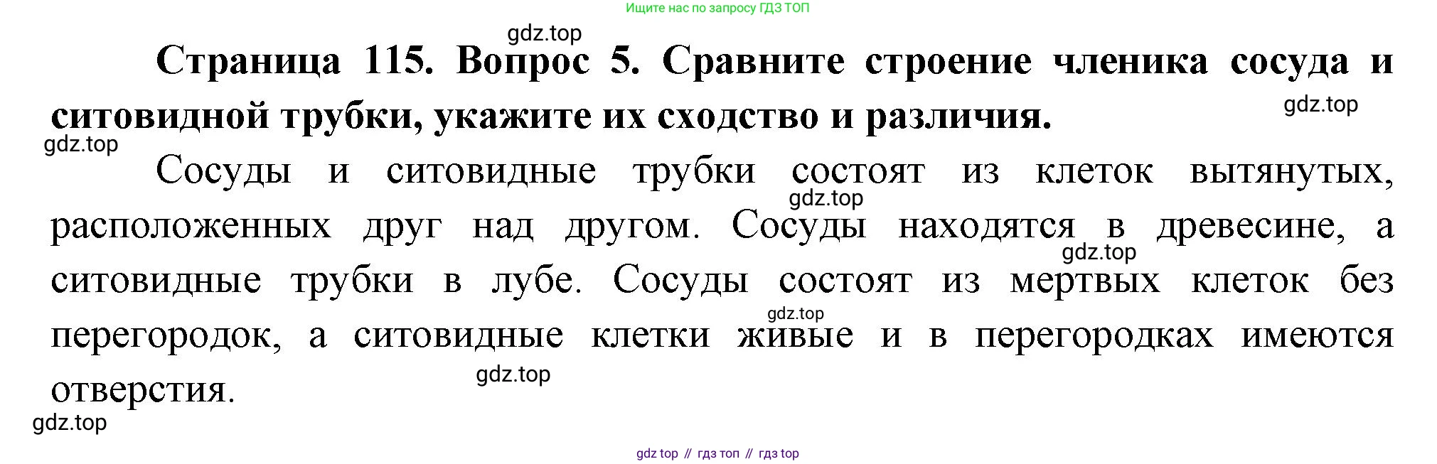 Биология, 6 класс Учебник, авторы: Пономарева Ирма Николаевна, Корнилова Ольга Анатольевна, издательство Просвещение, Москва, 2023, бирюзового цвета, страница 115, номер 5, Решение