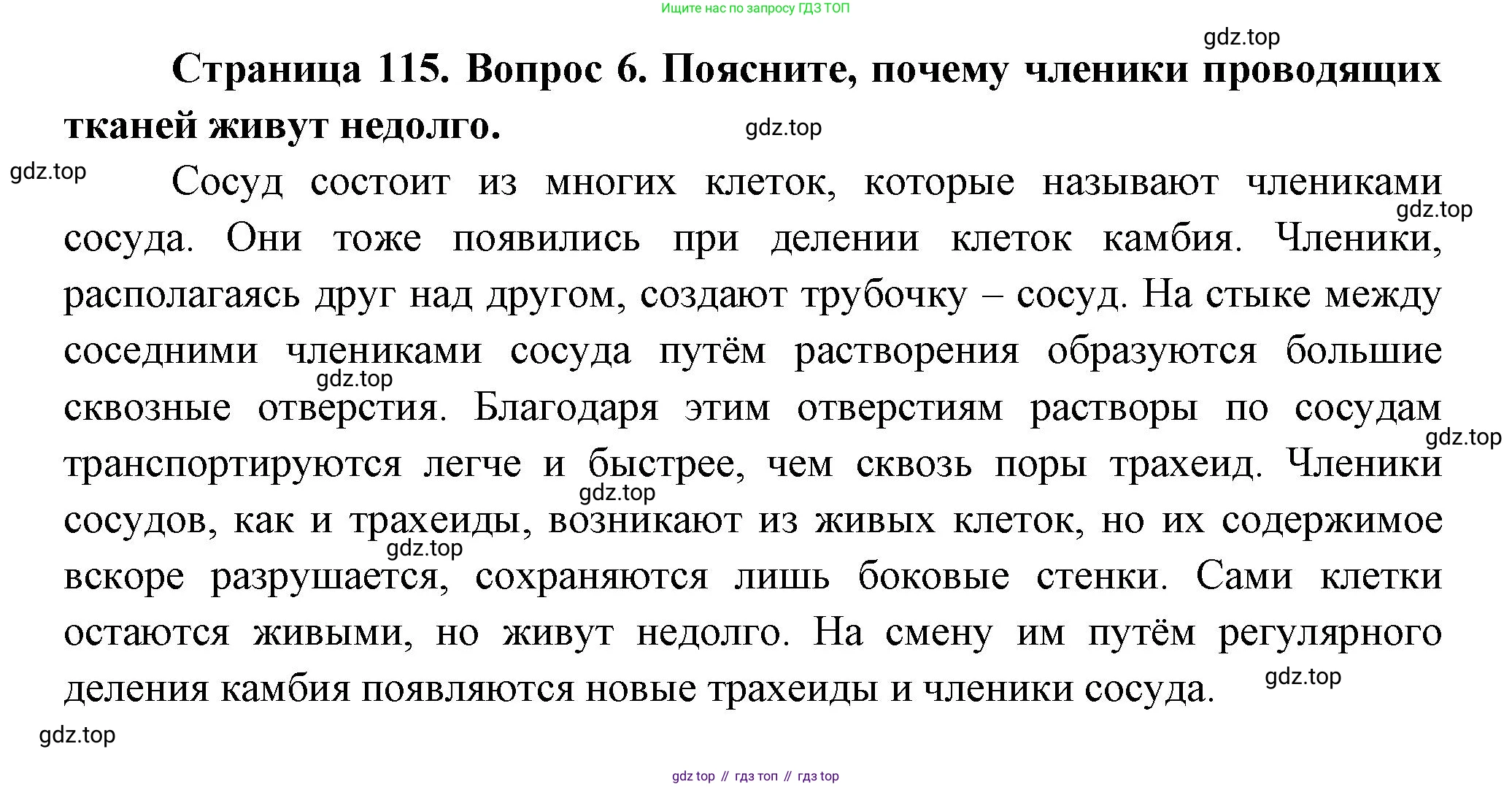 Биология, 6 класс Учебник, авторы: Пономарева Ирма Николаевна, Корнилова Ольга Анатольевна, издательство Просвещение, Москва, 2023, бирюзового цвета, страница 115, номер 6, Решение