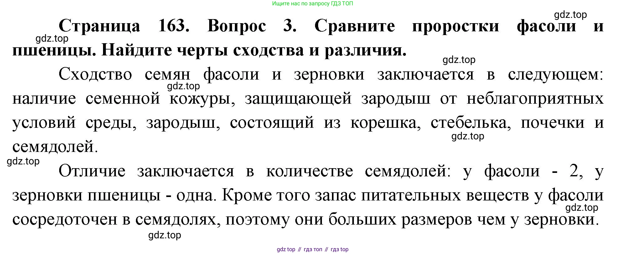 Биология, 6 класс Учебник, авторы: Пономарева Ирма Николаевна, Корнилова Ольга Анатольевна, издательство Просвещение, Москва, 2023, бирюзового цвета, страница 163, номер 3, Решение