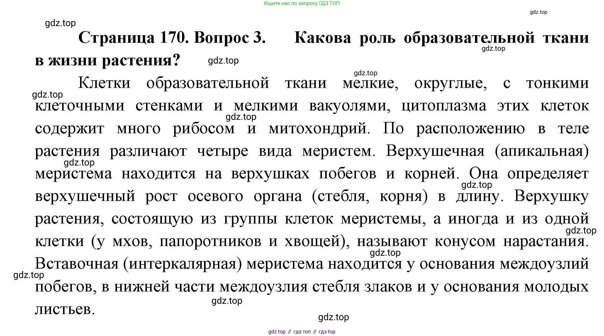 Биология, 6 класс Учебник, авторы: Пономарева Ирма Николаевна, Корнилова Ольга Анатольевна, издательство Просвещение, Москва, 2023, бирюзового цвета, страница 170, номер 3, Решение