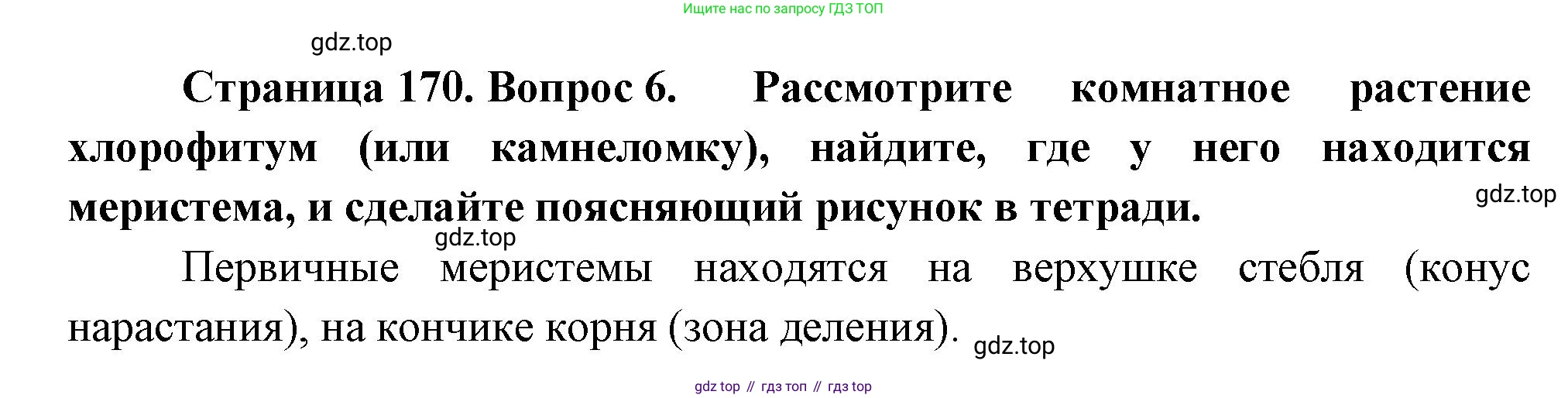 Биология, 6 класс Учебник, авторы: Пономарева Ирма Николаевна, Корнилова Ольга Анатольевна, издательство Просвещение, Москва, 2023, бирюзового цвета, страница 170, номер 6, Решение