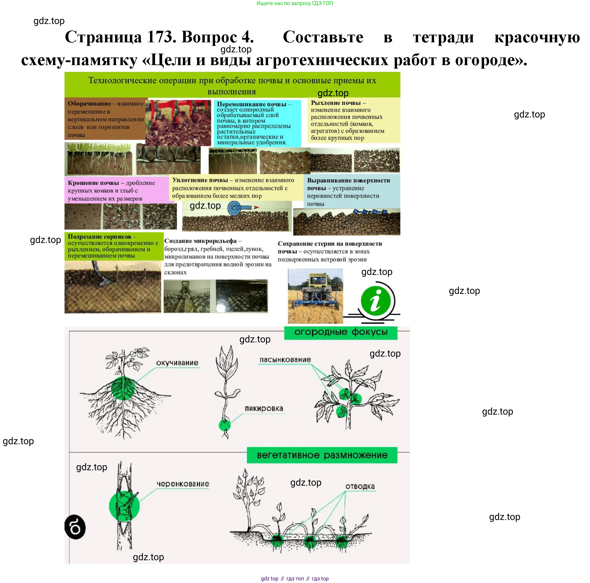 Биология, 6 класс Учебник, авторы: Пономарева Ирма Николаевна, Корнилова Ольга Анатольевна, издательство Просвещение, Москва, 2023, бирюзового цвета, страница 173, номер 4, Решение