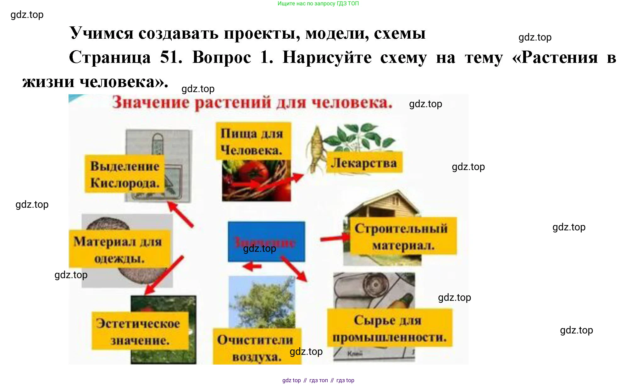 Биология, 6 класс Учебник, авторы: Пономарева Ирма Николаевна, Корнилова Ольга Анатольевна, издательство Просвещение, Москва, 2023, бирюзового цвета, страница 51, номер 1, Решение