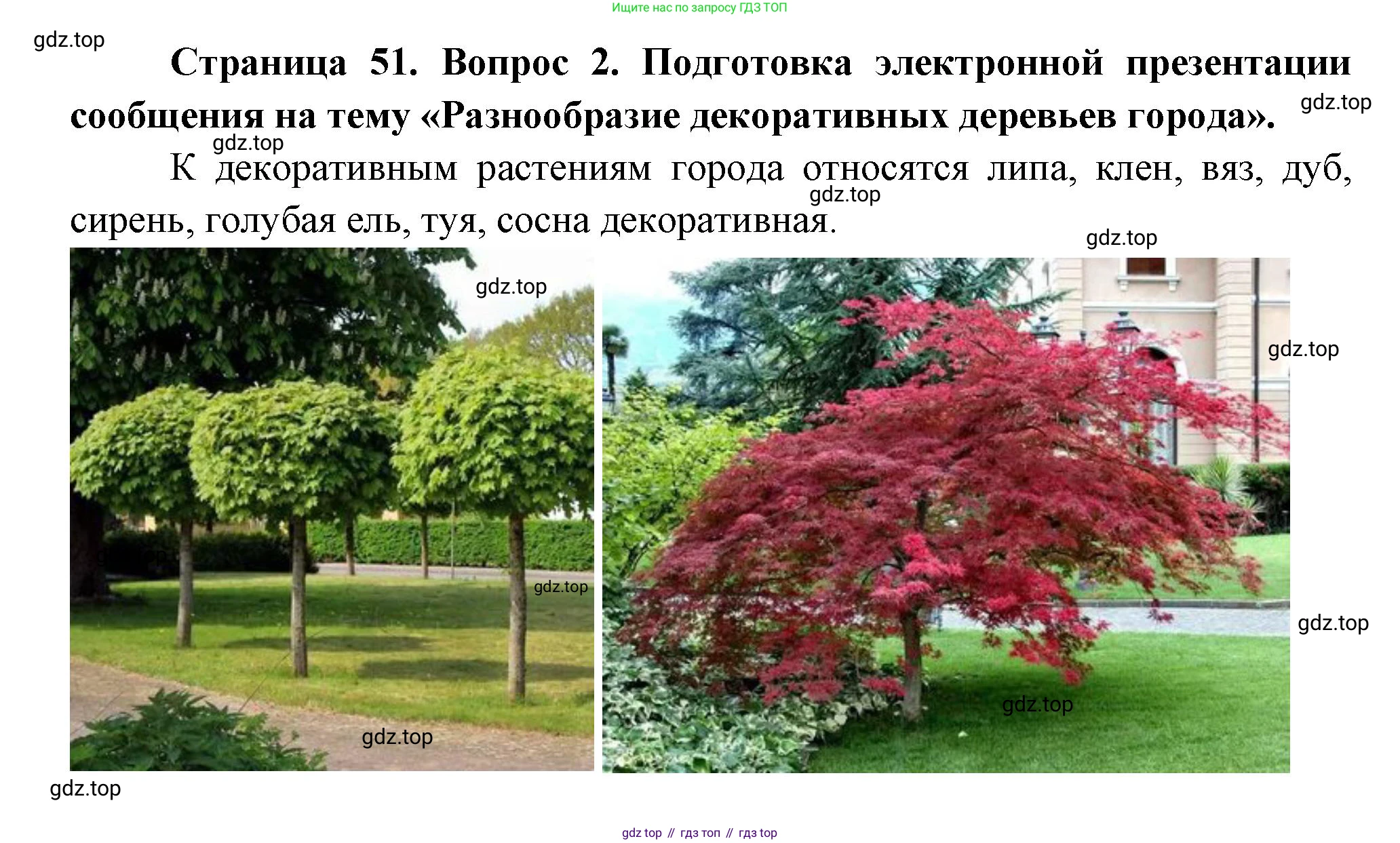 Биология, 6 класс Учебник, авторы: Пономарева Ирма Николаевна, Корнилова Ольга Анатольевна, издательство Просвещение, Москва, 2023, бирюзового цвета, страница 51, номер 2, Решение