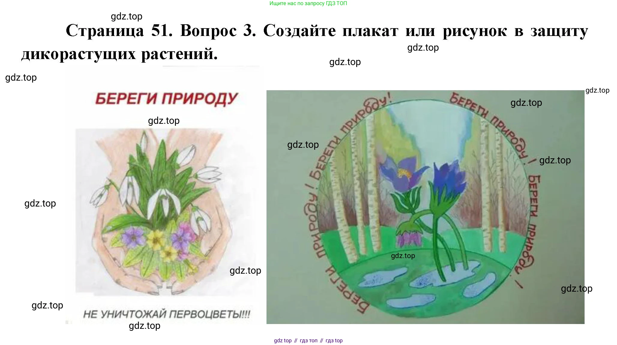 Биология, 6 класс Учебник, авторы: Пономарева Ирма Николаевна, Корнилова Ольга Анатольевна, издательство Просвещение, Москва, 2023, бирюзового цвета, страница 51, номер 3, Решение