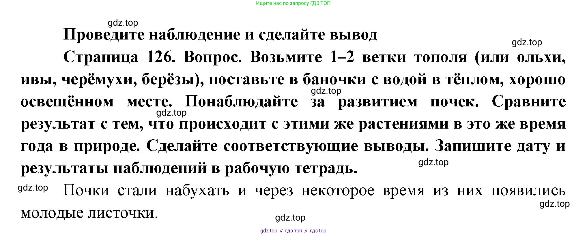 Биология, 6 класс Учебник, авторы: Пономарева Ирма Николаевна, Корнилова Ольга Анатольевна, издательство Просвещение, Москва, 2023, бирюзового цвета, страница 126, Решение
