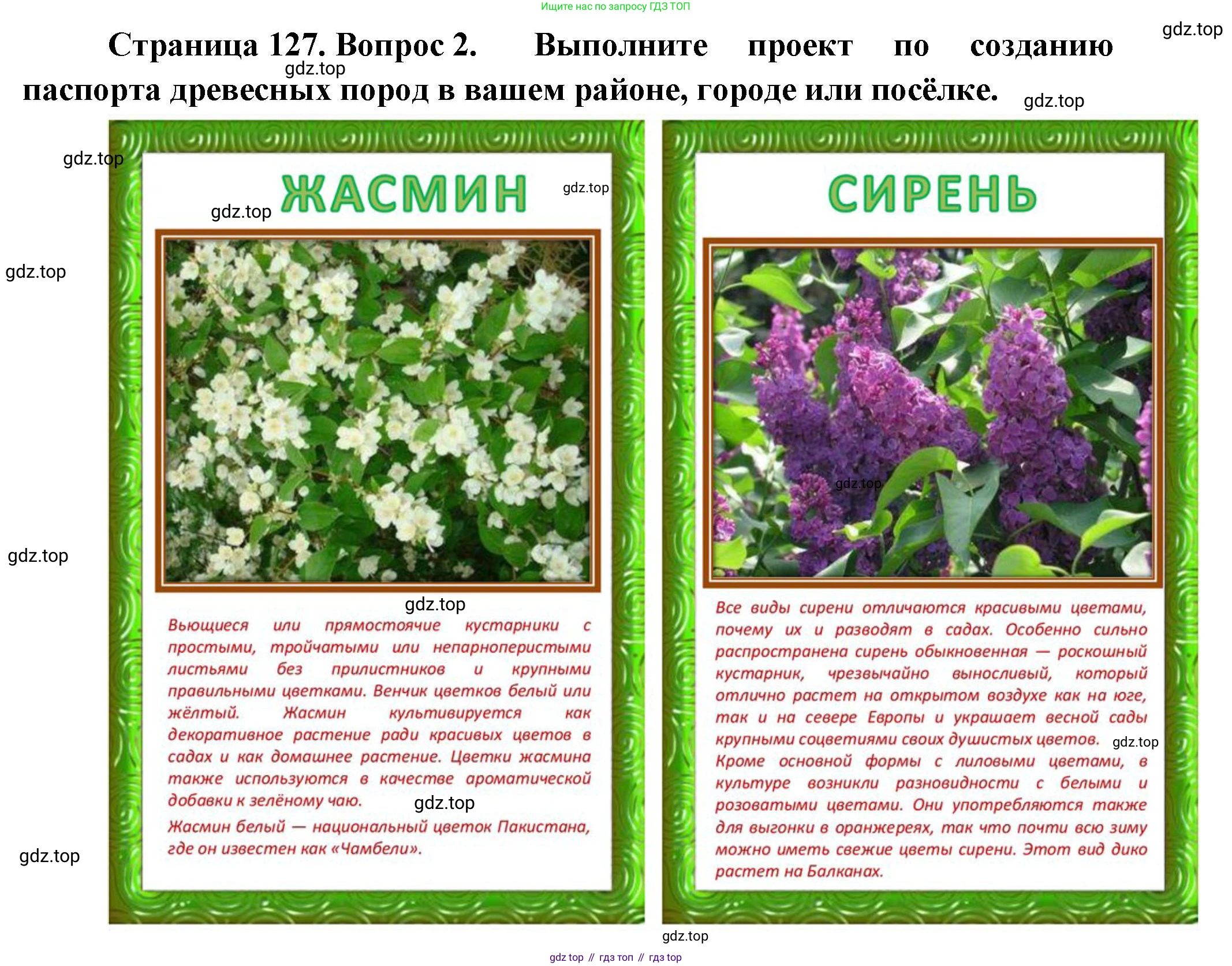 Биология, 6 класс Учебник, авторы: Пономарева Ирма Николаевна, Корнилова Ольга Анатольевна, издательство Просвещение, Москва, 2023, бирюзового цвета, страница 127, номер 2, Решение