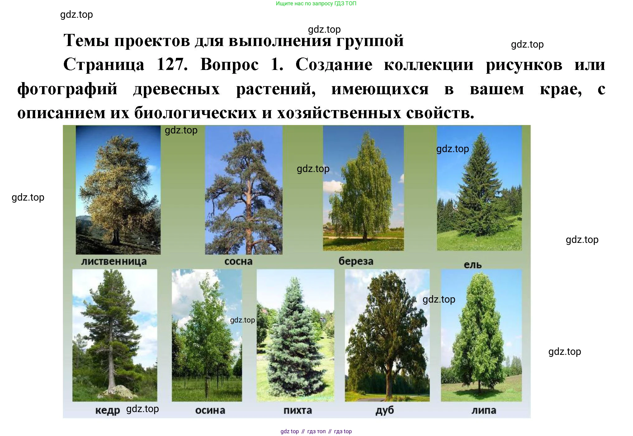 Биология, 6 класс Учебник, авторы: Пономарева Ирма Николаевна, Корнилова Ольга Анатольевна, издательство Просвещение, Москва, 2023, бирюзового цвета, страница 127, номер 1, Решение