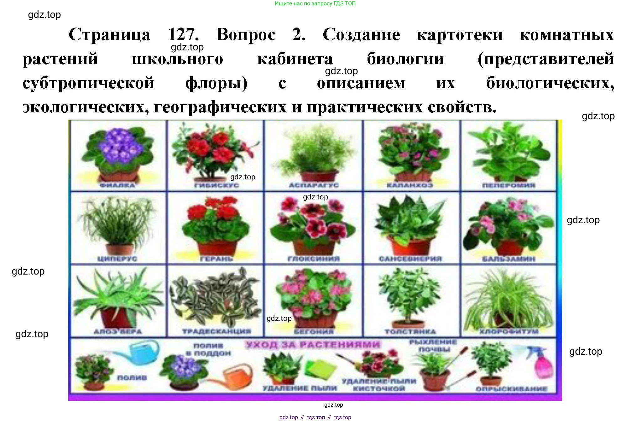 Биология, 6 класс Учебник, авторы: Пономарева Ирма Николаевна, Корнилова Ольга Анатольевна, издательство Просвещение, Москва, 2023, бирюзового цвета, страница 127, номер 2, Решение
