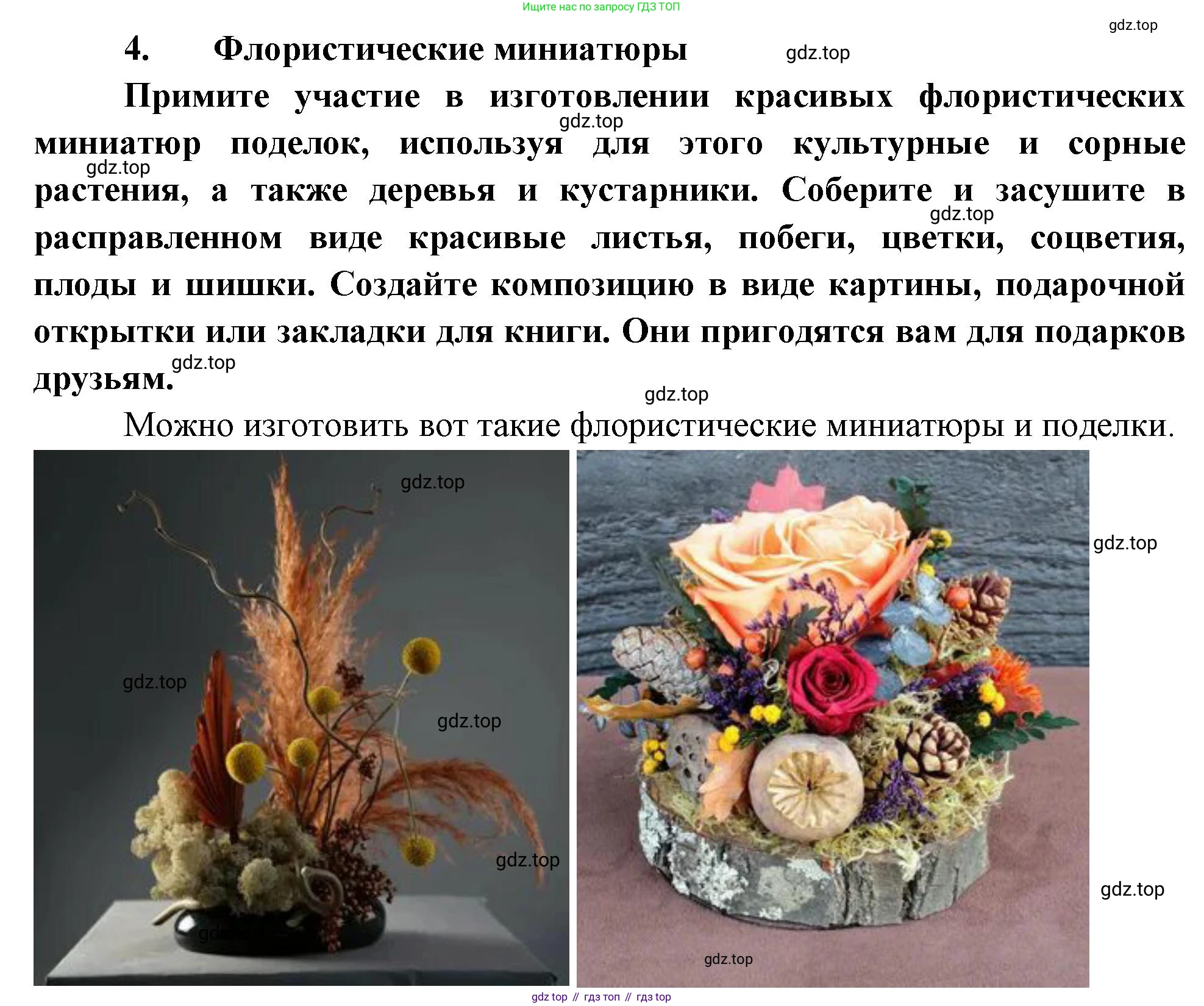 Биология, 6 класс Учебник, авторы: Пономарева Ирма Николаевна, Корнилова Ольга Анатольевна, издательство Просвещение, Москва, 2023, бирюзового цвета, страница 179, номер 4, Решение