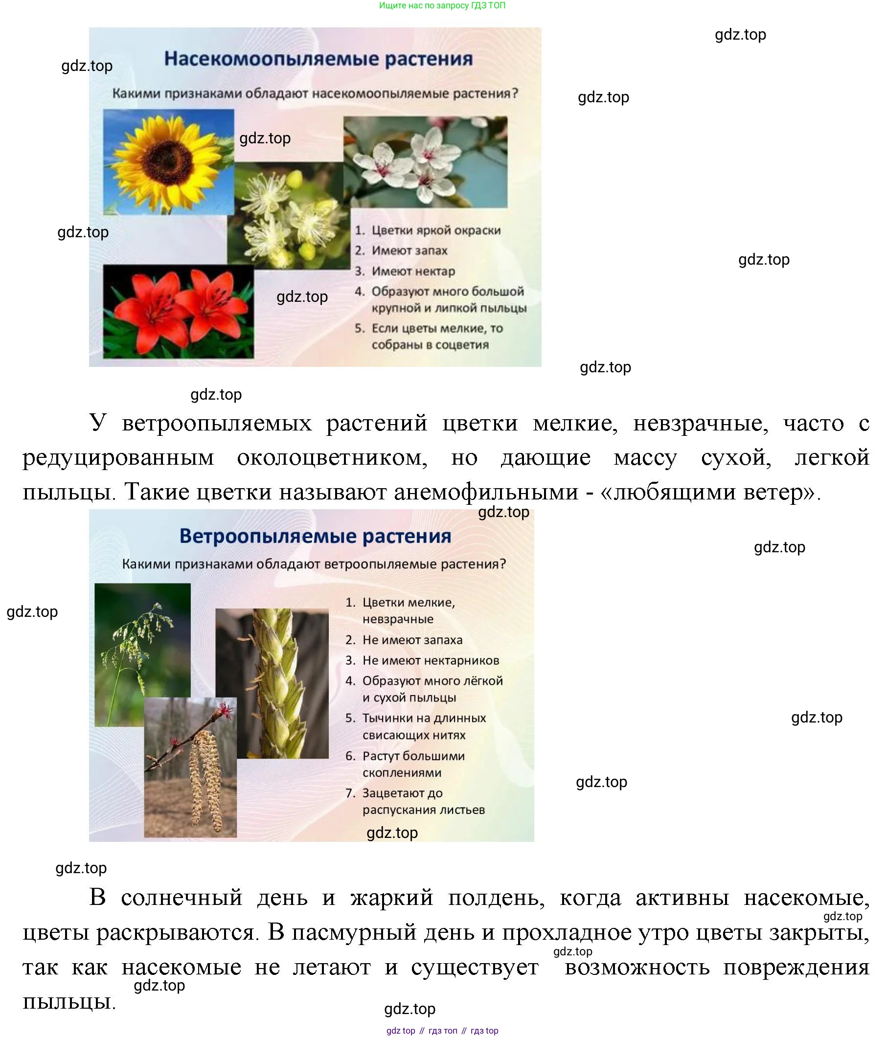 Биология, 6 класс Учебник, авторы: Пономарева Ирма Николаевна, Корнилова Ольга Анатольевна, издательство Просвещение, Москва, 2023, бирюзового цвета, страница 179, номер 6, Решение (продолжение 2)
