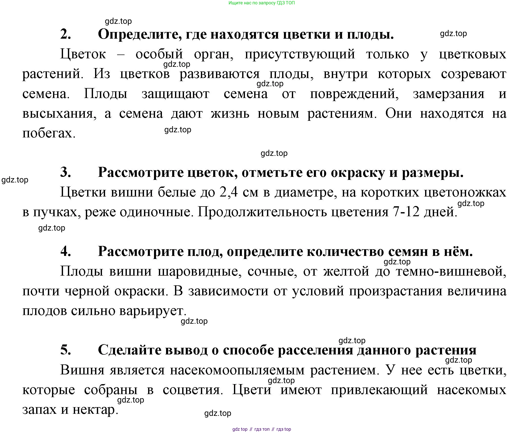 Биология, 6 класс Учебник, авторы: Пономарева Ирма Николаевна, Корнилова Ольга Анатольевна, издательство Просвещение, Москва, 2023, бирюзового цвета, страница 25, Решение (продолжение 2)
