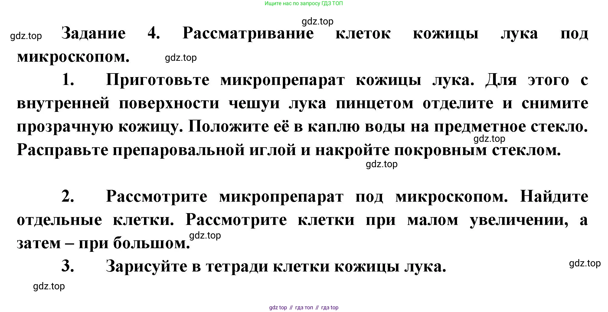 Биология, 6 класс Учебник, авторы: Пономарева Ирма Николаевна, Корнилова Ольга Анатольевна, издательство Просвещение, Москва, 2023, бирюзового цвета, страница 37, Решение