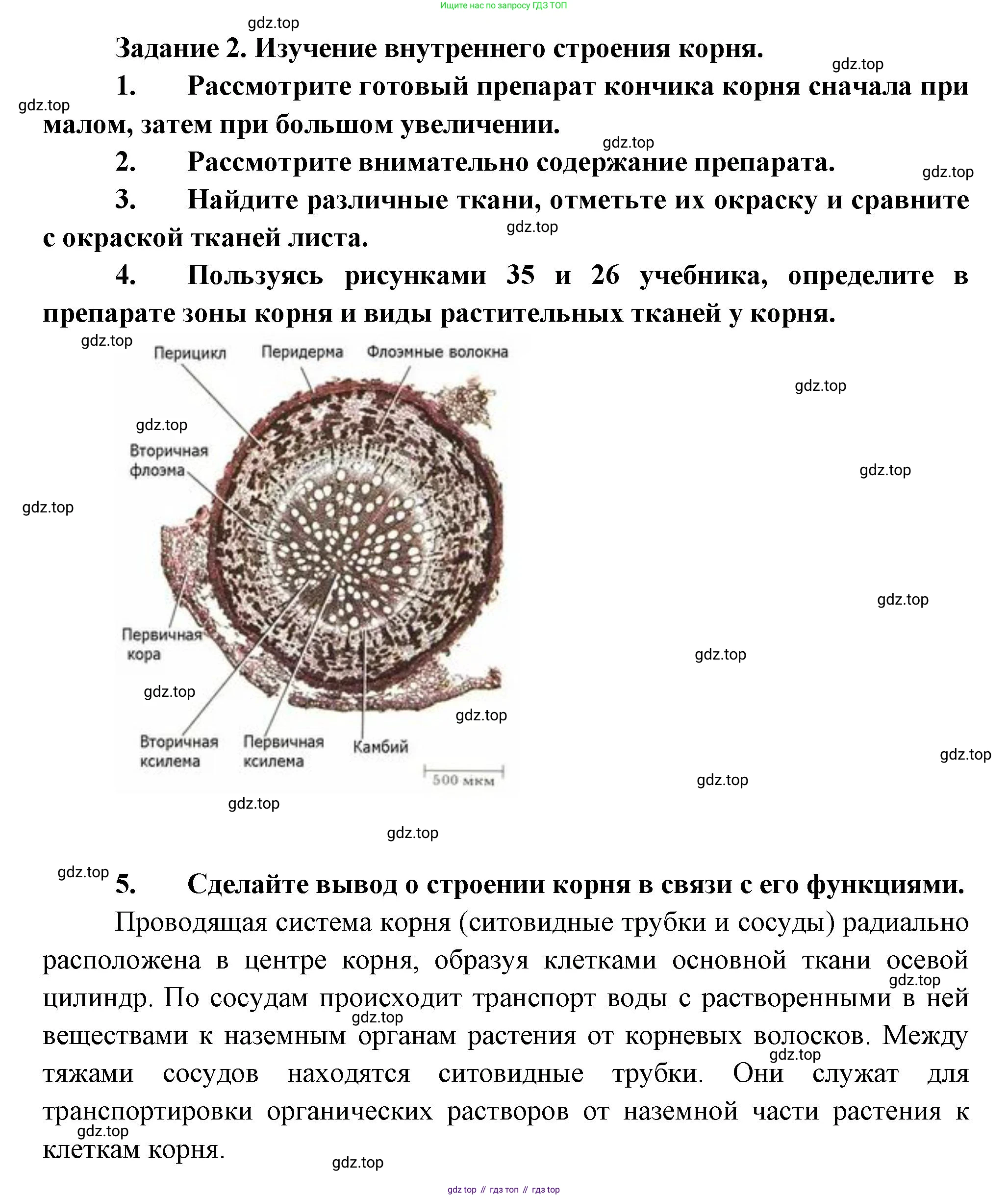 Биология, 6 класс Учебник, авторы: Пономарева Ирма Николаевна, Корнилова Ольга Анатольевна, издательство Просвещение, Москва, 2023, бирюзового цвета, страница 57, Решение