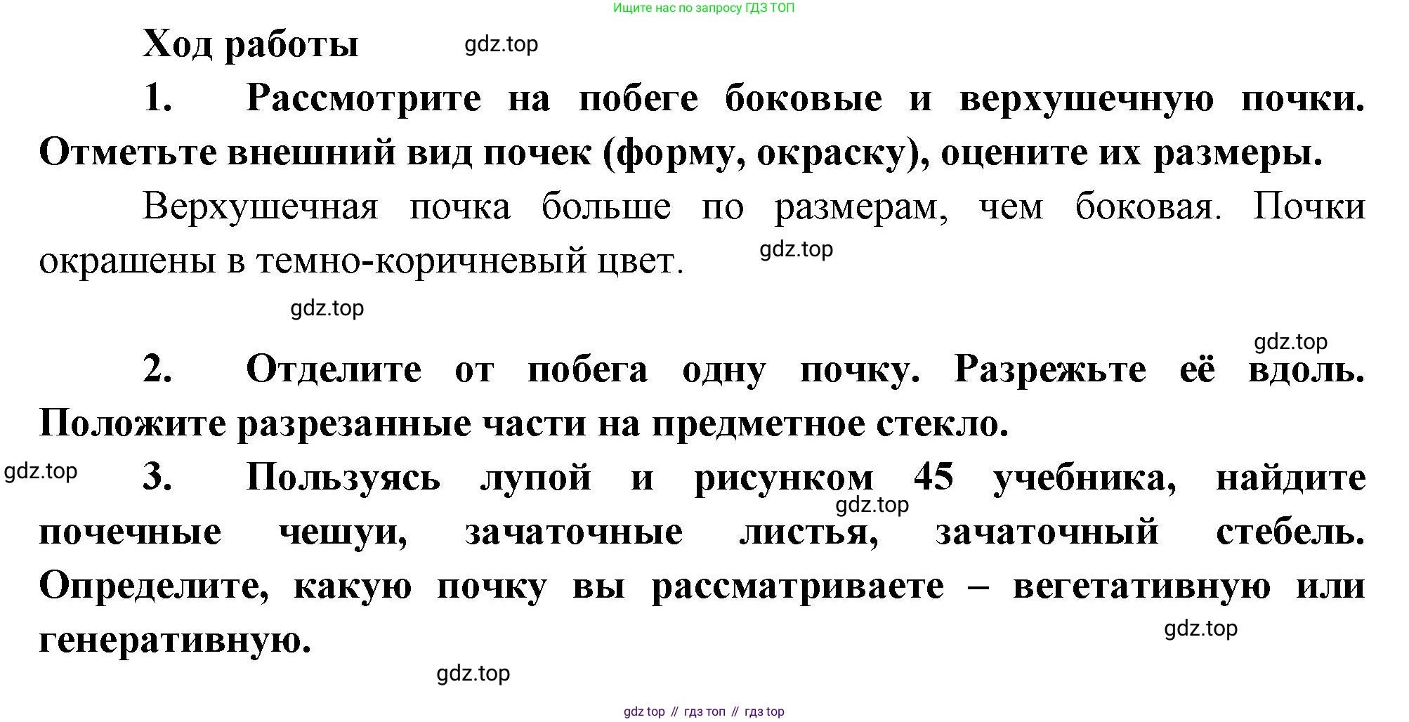 Биология, 6 класс Учебник, авторы: Пономарева Ирма Николаевна, Корнилова Ольга Анатольевна, издательство Просвещение, Москва, 2023, бирюзового цвета, страница 74, Решение