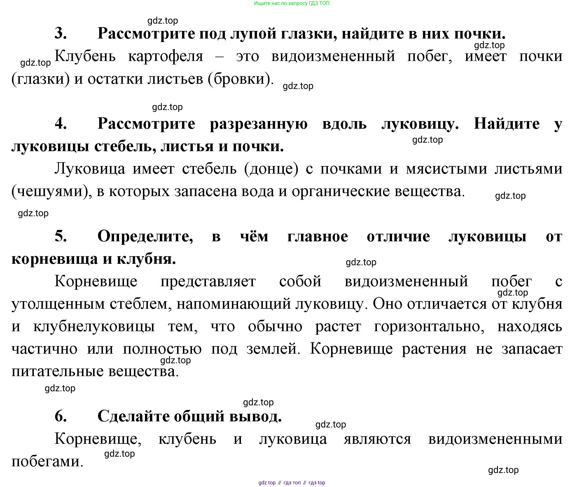 Биология, 6 класс Учебник, авторы: Пономарева Ирма Николаевна, Корнилова Ольга Анатольевна, издательство Просвещение, Москва, 2023, бирюзового цвета, страница 78, Решение (продолжение 2)