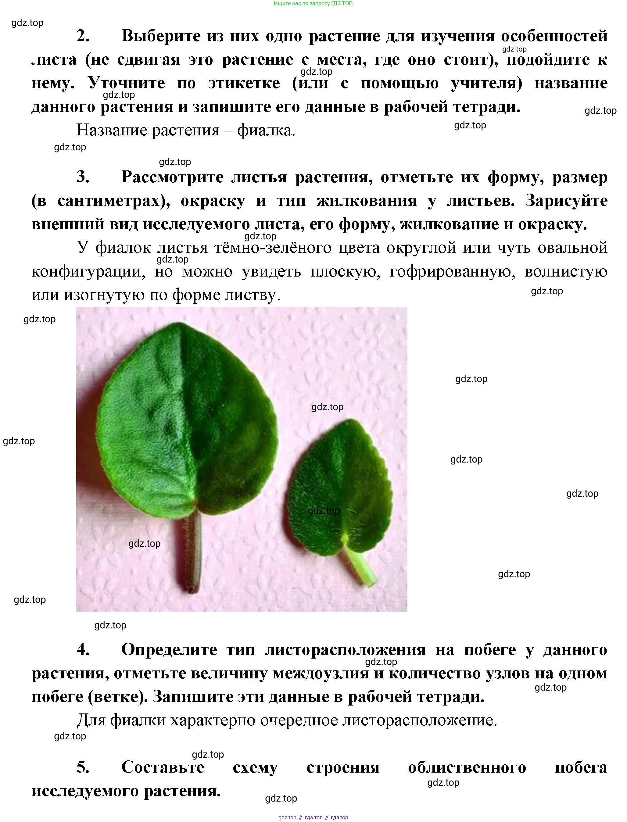 Биология, 6 класс Учебник, авторы: Пономарева Ирма Николаевна, Корнилова Ольга Анатольевна, издательство Просвещение, Москва, 2023, бирюзового цвета, страница 85, Решение (продолжение 2)