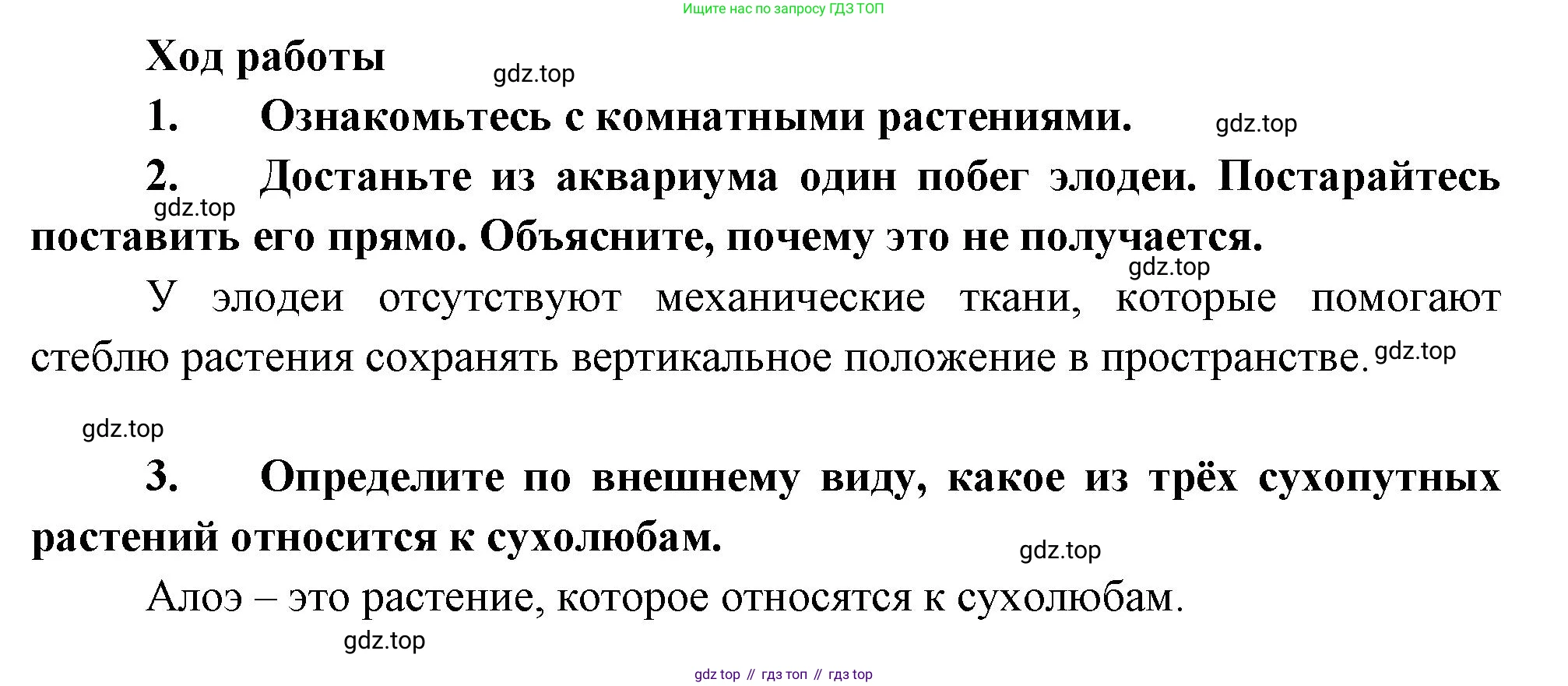 Биология, 6 класс Учебник, авторы: Пономарева Ирма Николаевна, Корнилова Ольга Анатольевна, издательство Просвещение, Москва, 2023, бирюзового цвета, страница 105, Решение
